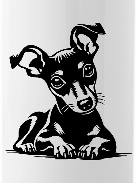 Miniature Pinscher