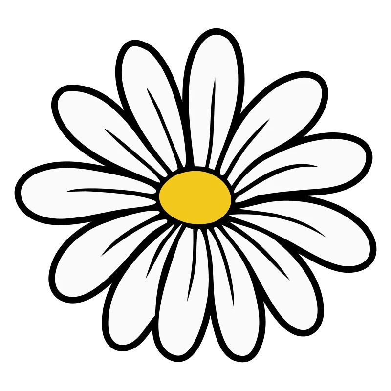 Gänseblümchen