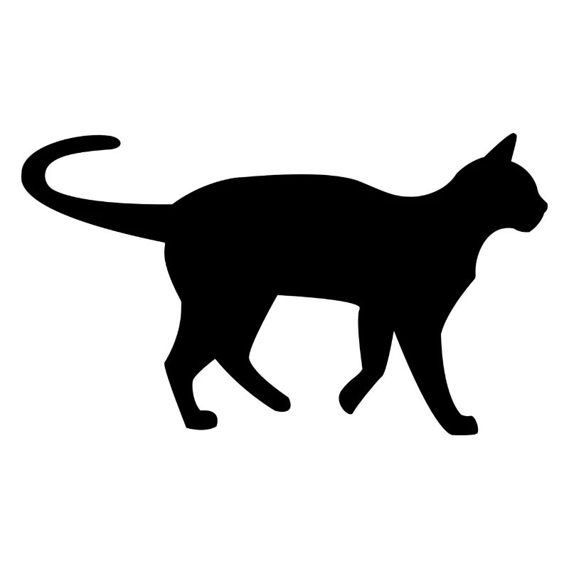 Katze schwarz