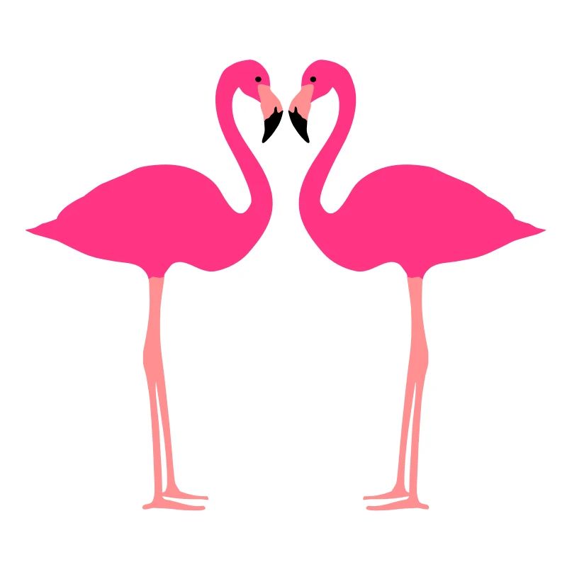 flamants roses