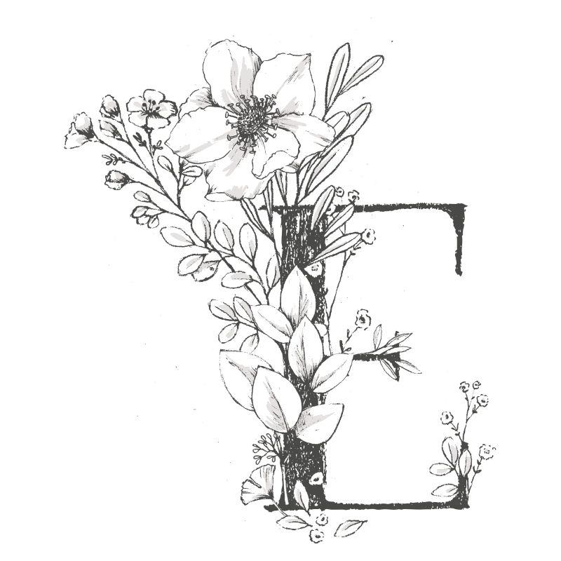 Lettre e
