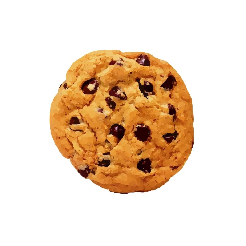 cool chemise princesse de biscuits