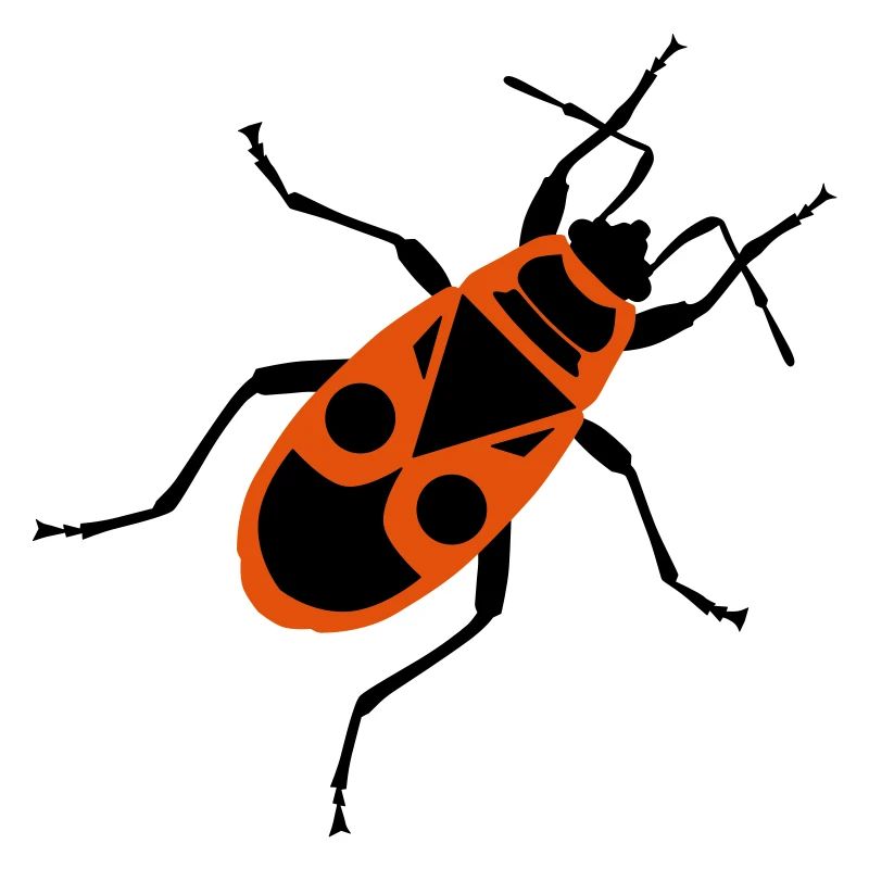 Feuerwanze