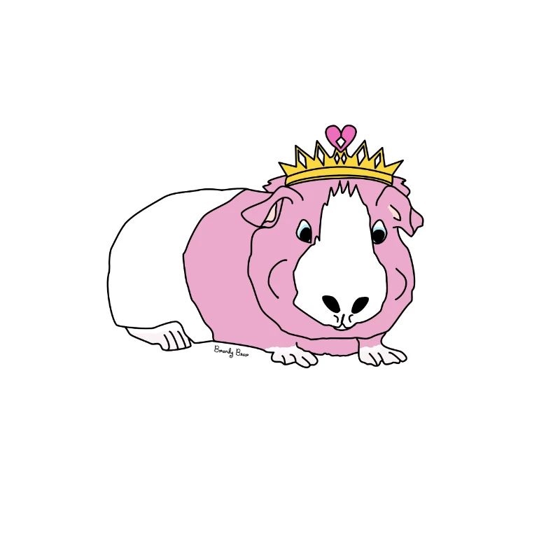 cochon d'inde princesse