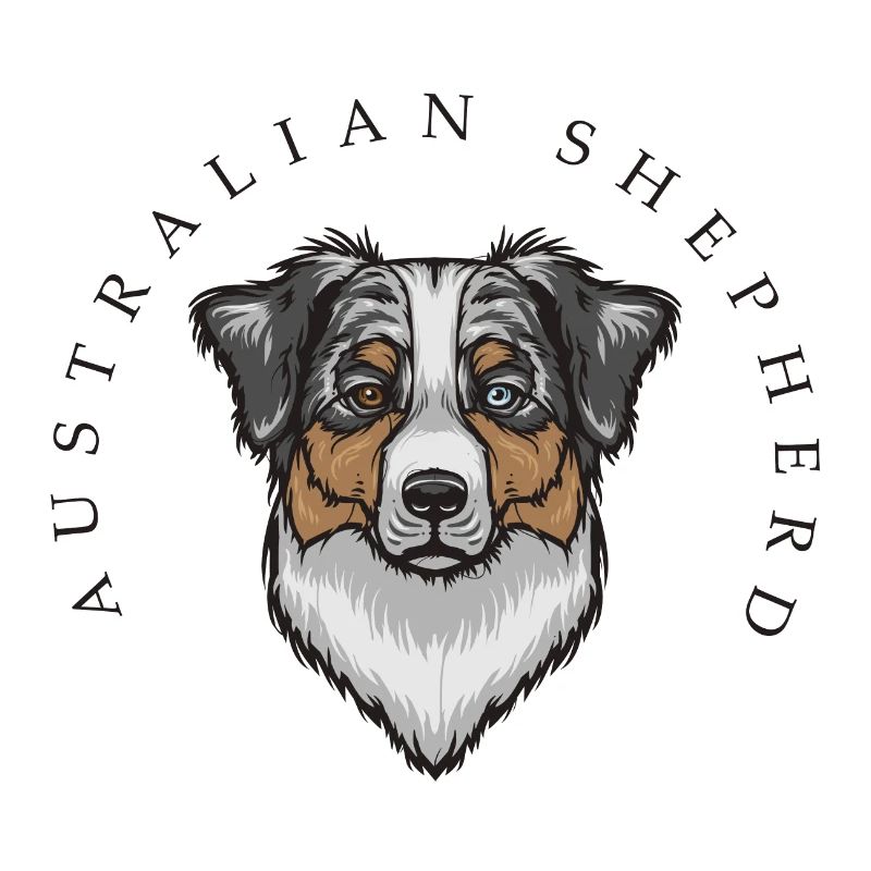 Australian Shepherd