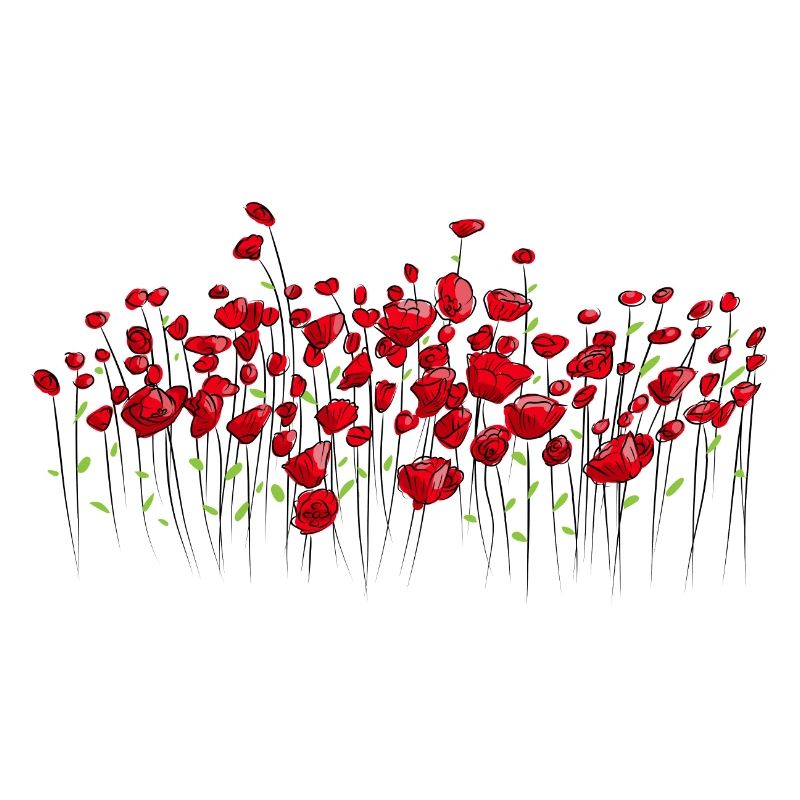 Coquelicots coquelicots bord de terre