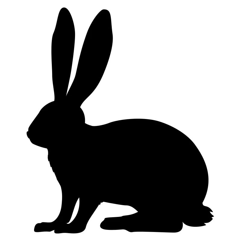 Rabbit, Hase, Bunny