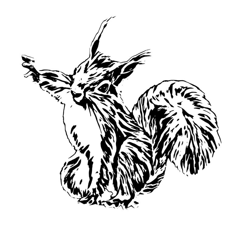 Eichhörnchen