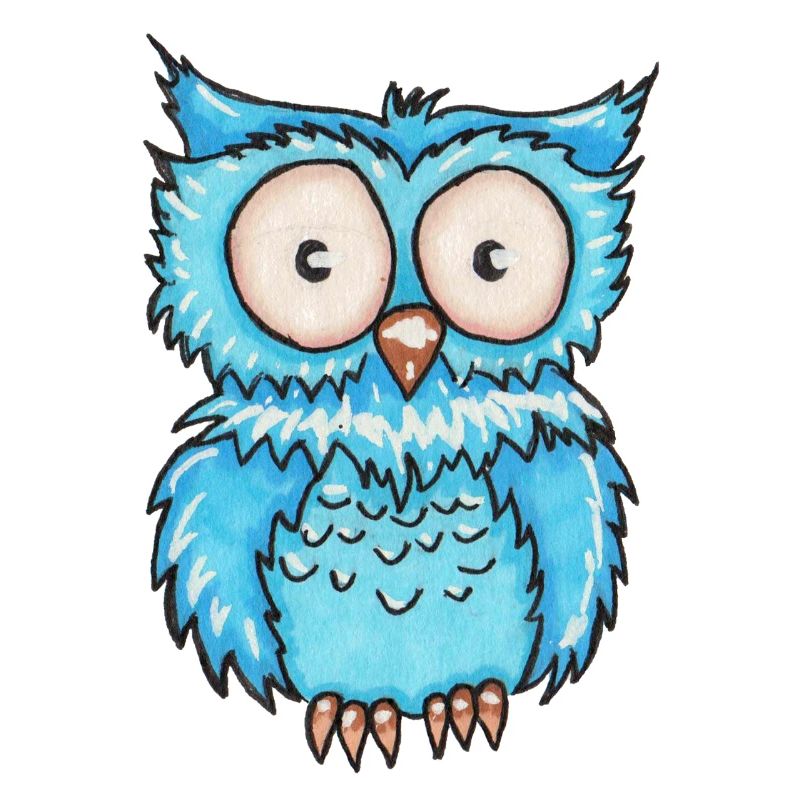 Hibou bleu