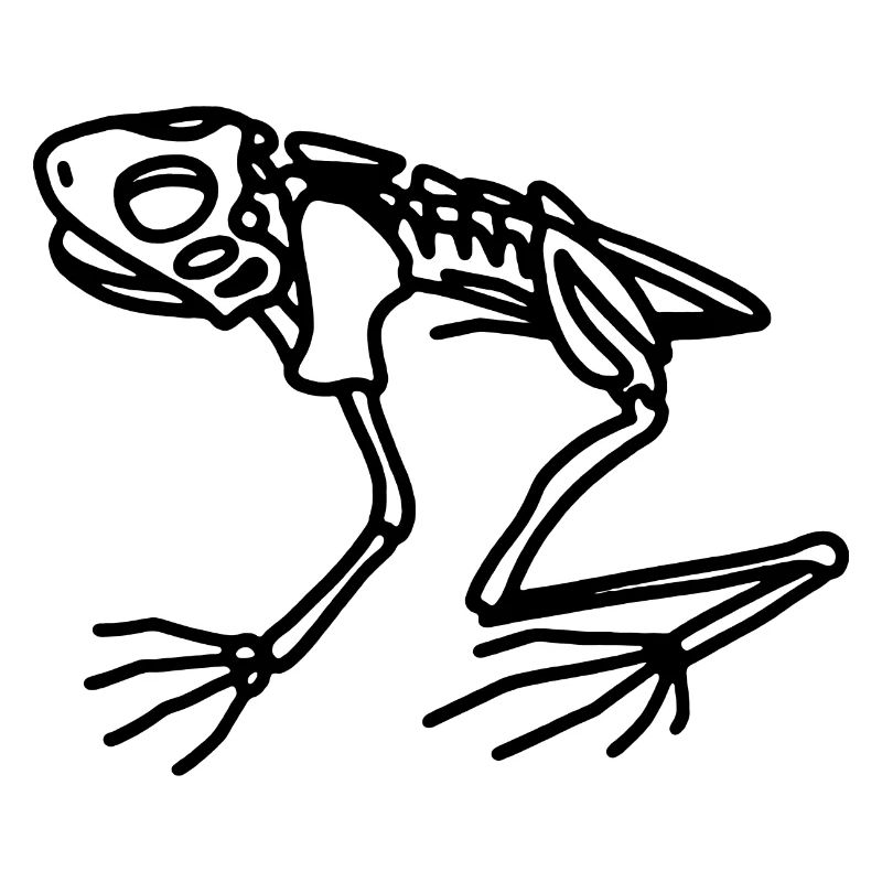 FROSCH