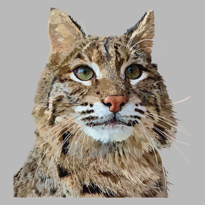 Lynx