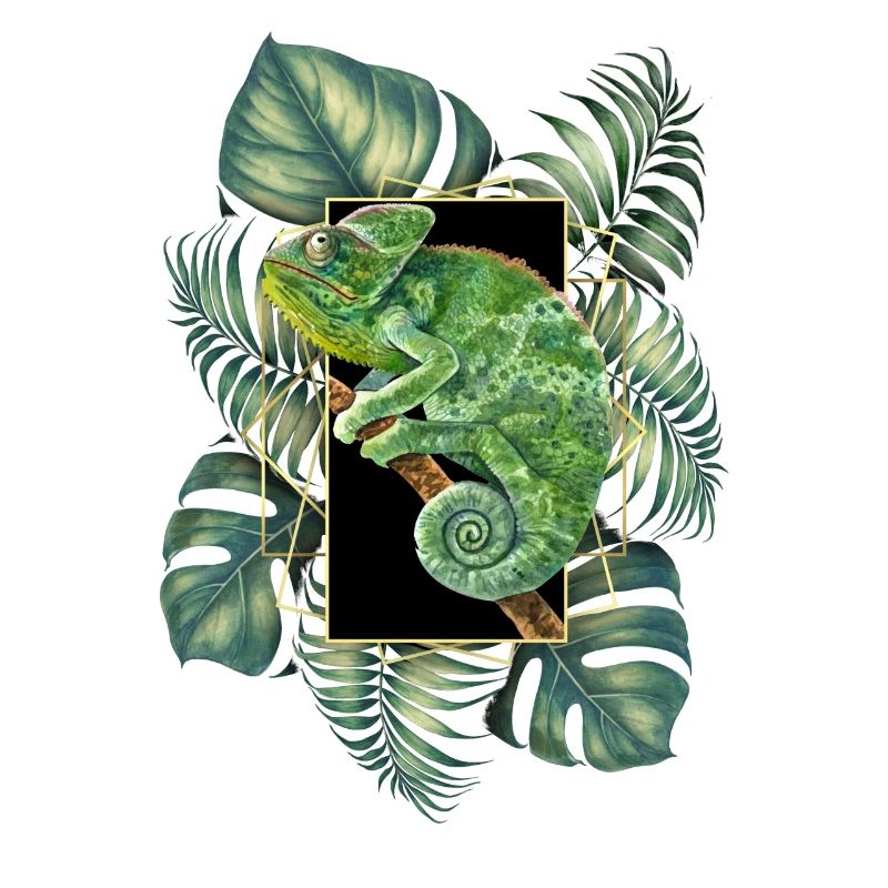 Veiled Chameleon Jungle Pattern Tropical Chameleon