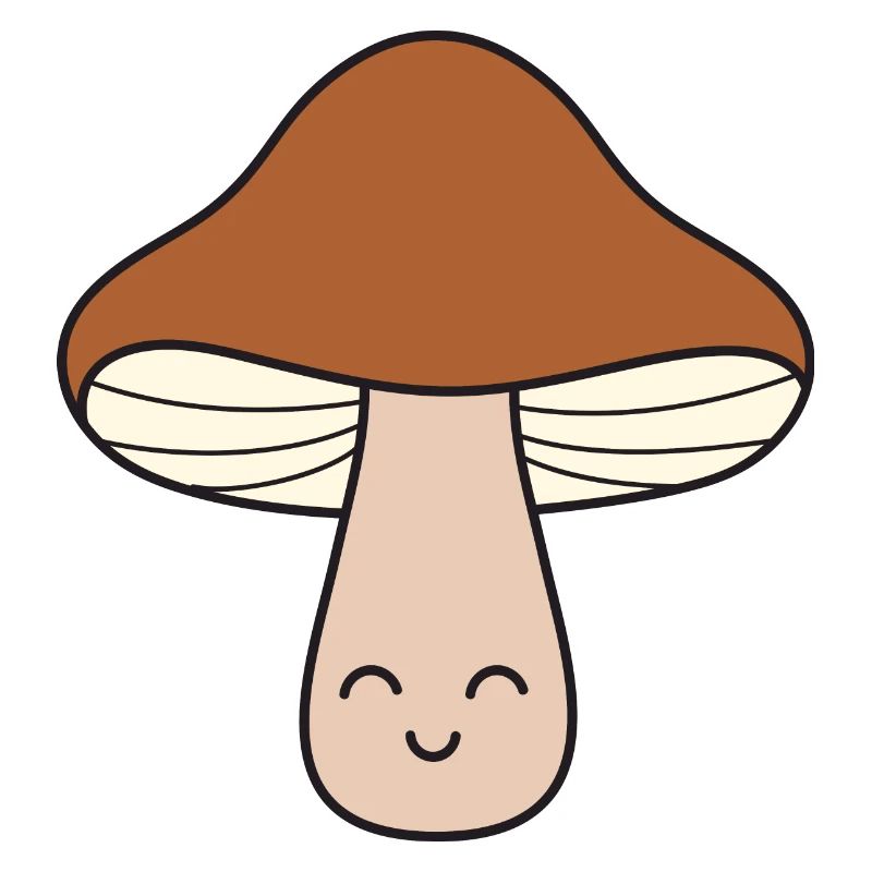 Champignons champignons
