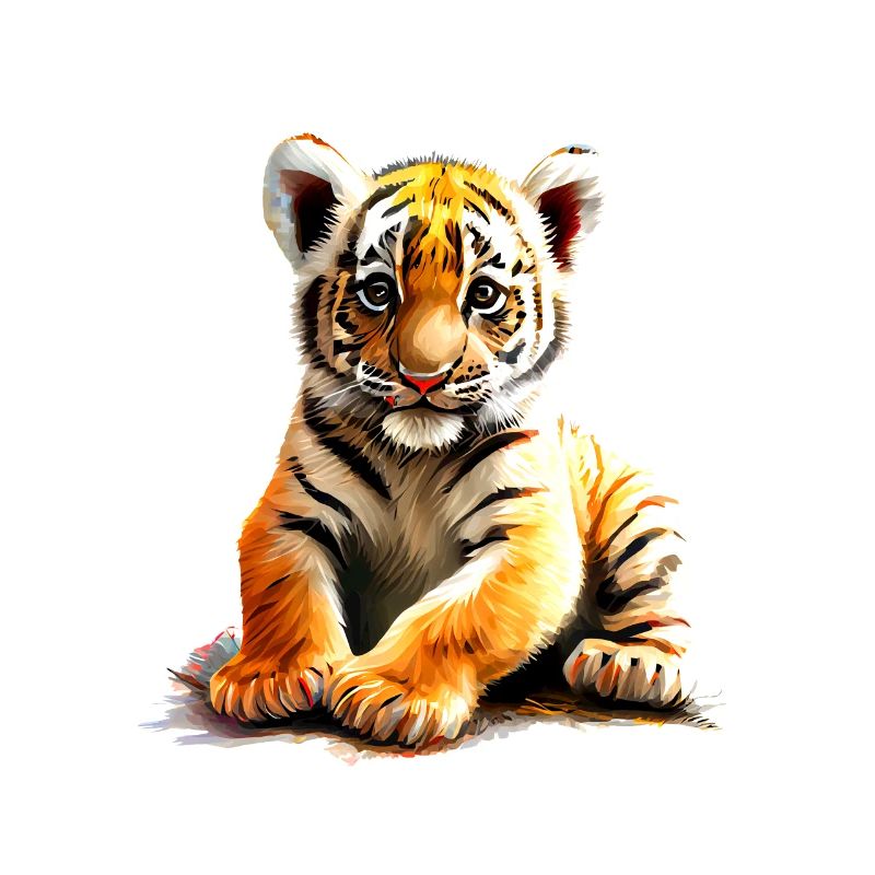 Bébé tigre