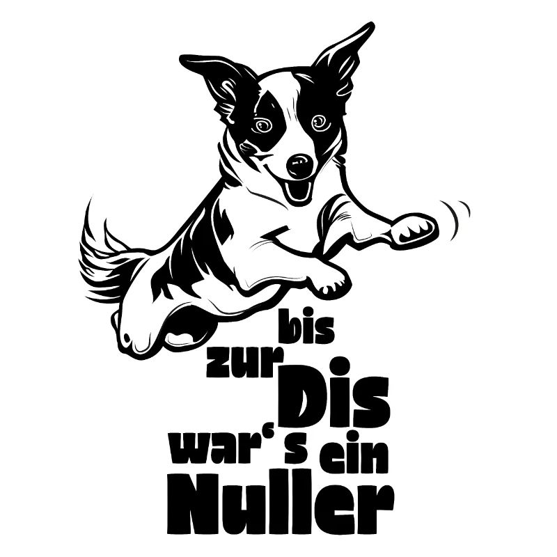 Nuller Agility