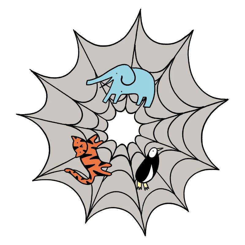 Spinnennetz 