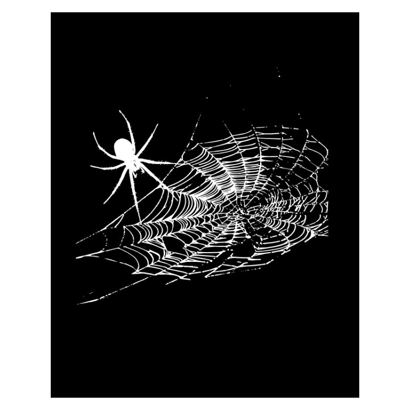 araignée