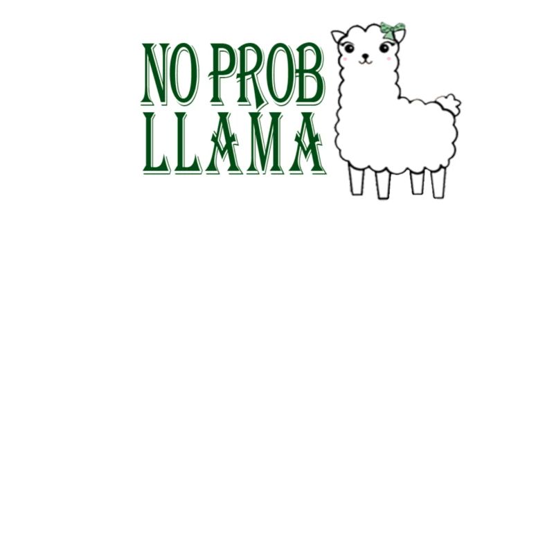 No Prob Llama Spanish Llama