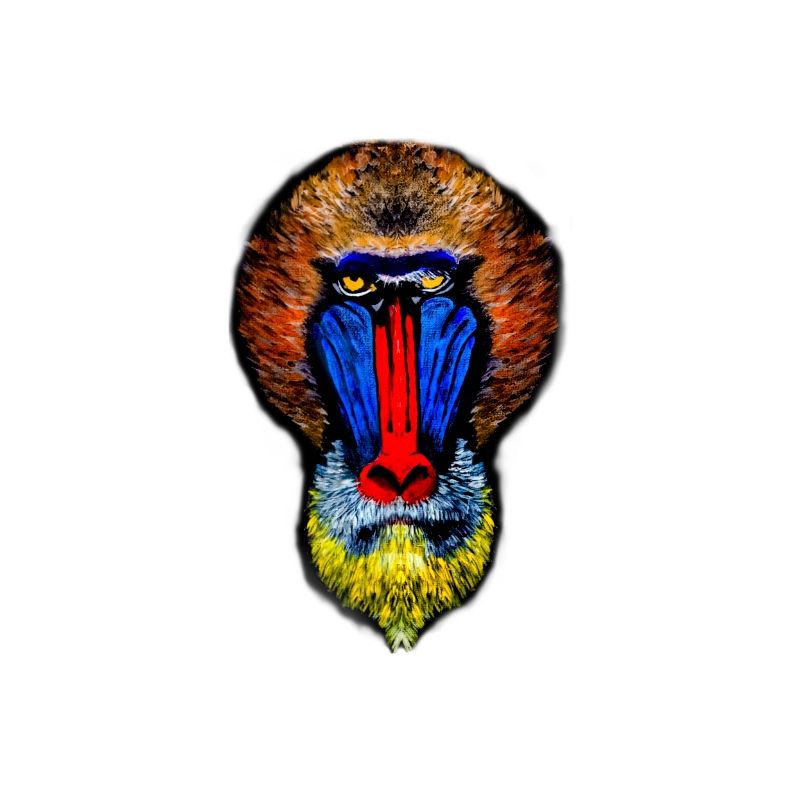 Painted Baboon