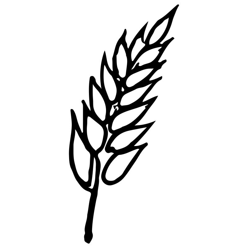 Weizen Illustration Brotbäcker Geschenkidee