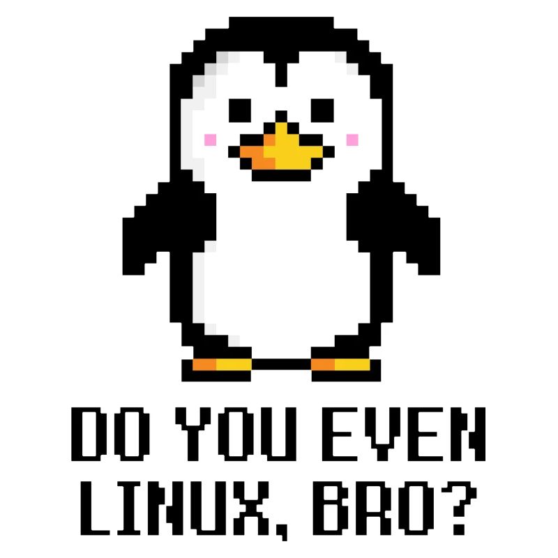 Do you even Linux, bro?