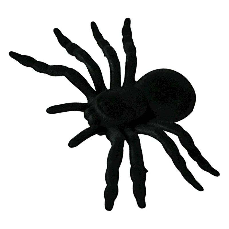 Spider Web, Spider Web, Spider Phobia, Disgusting Gift