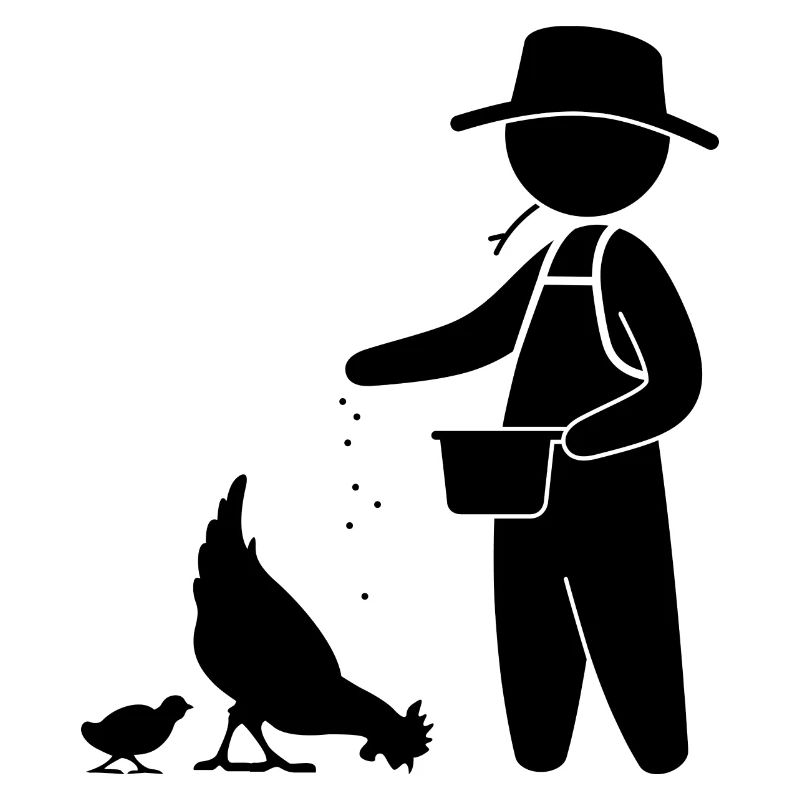 Farmer feeding the chickens