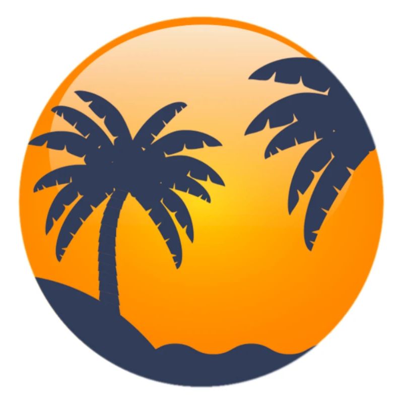 Sun behind palm trees