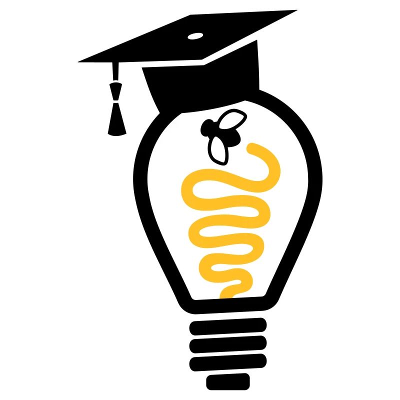 Light bulb mortarboard fly - graduation gift
