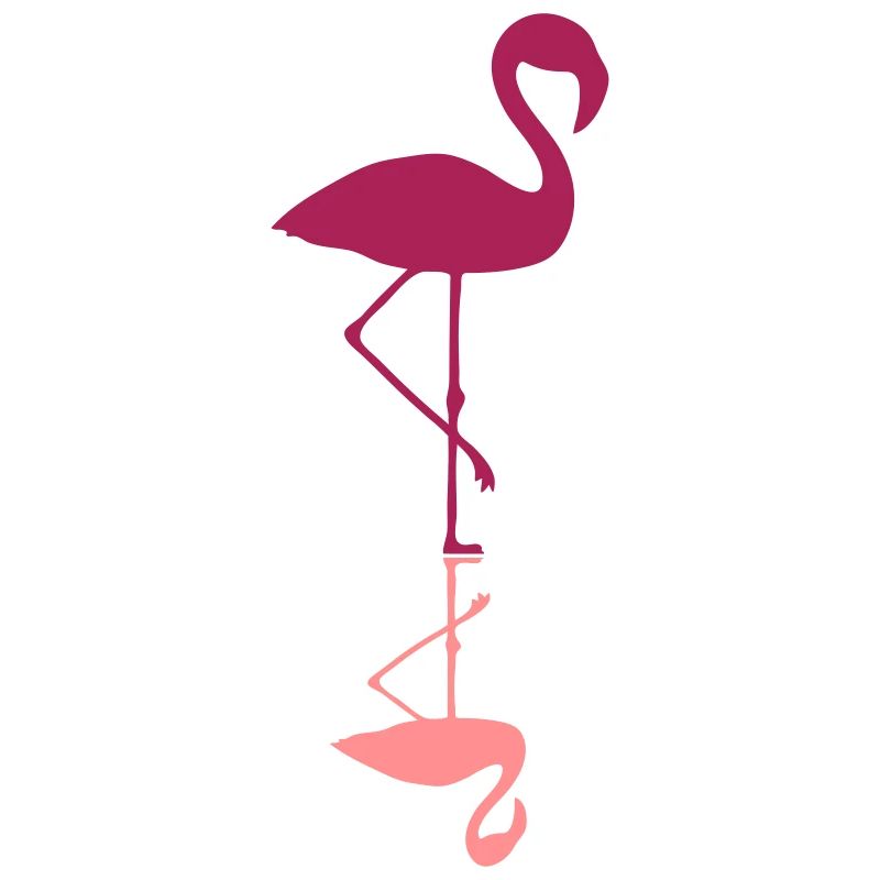 flamingo mirroring water mirrored reflection r
