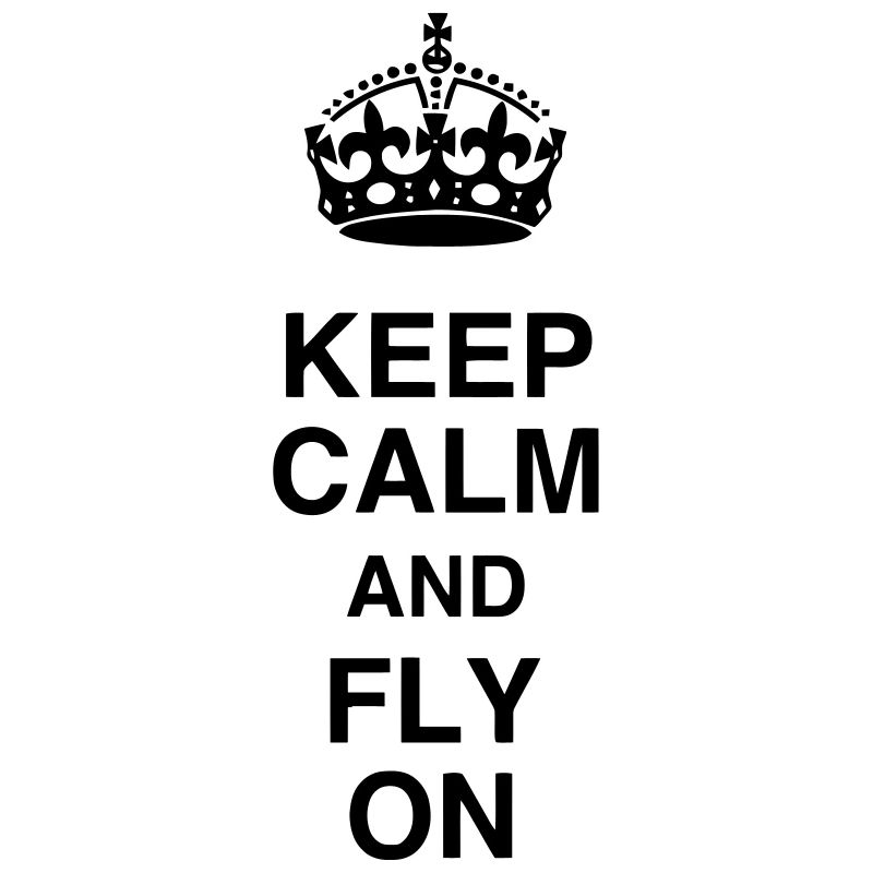 Flugzeug / Luftfahrt / Arbeit / Job