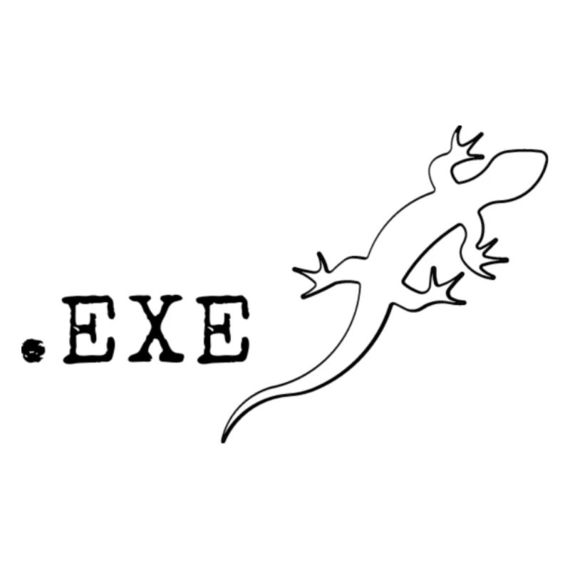 Informaticien programmeur It Coding