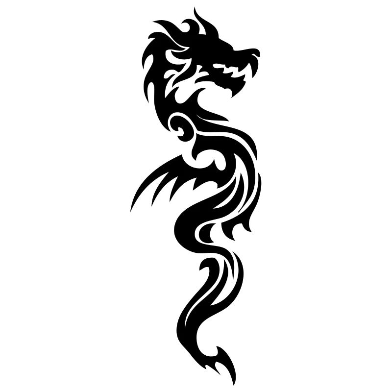 Drachen Kampfsport
