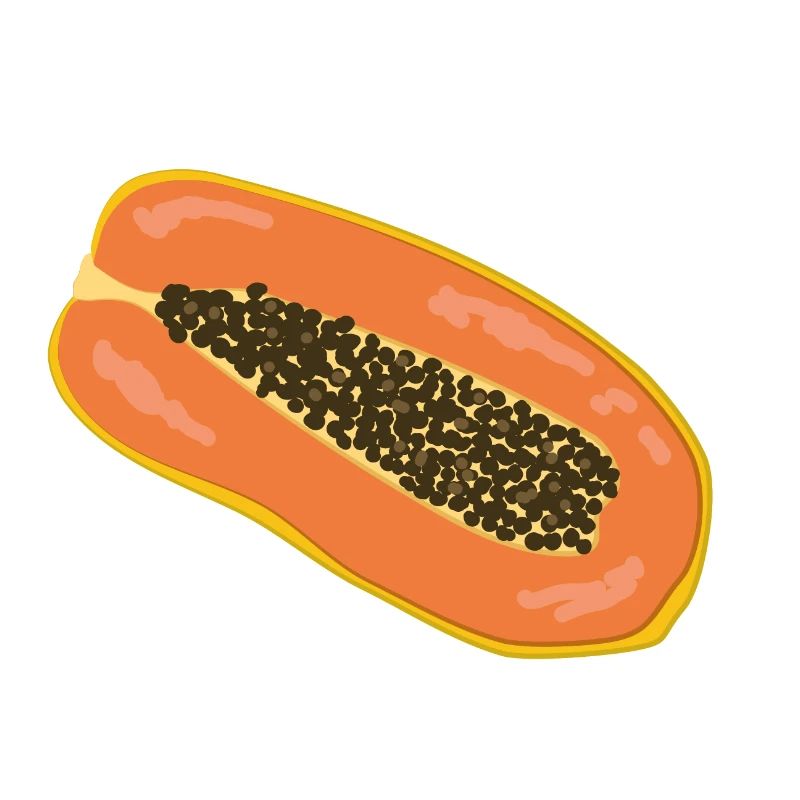 Fruits - Papaye