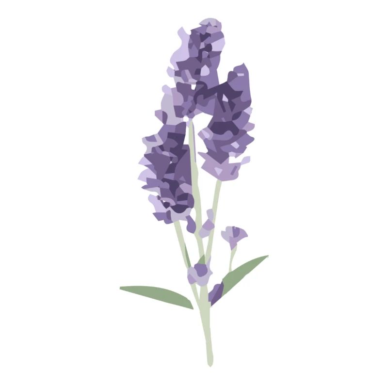 lavender