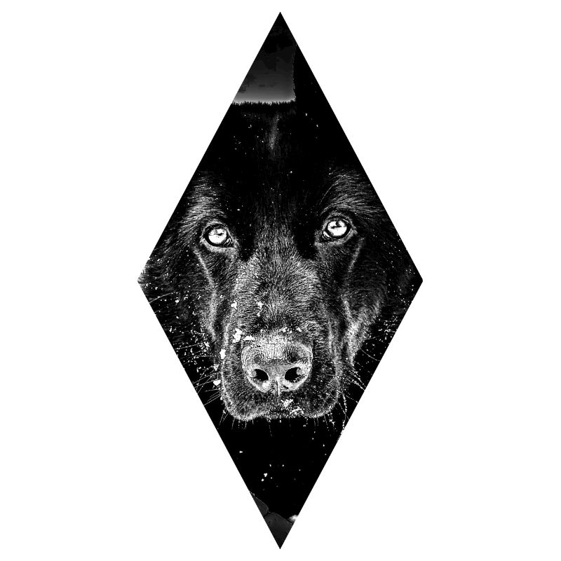 Schäferhund