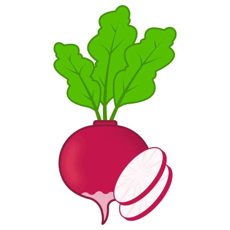 Rotes Radies mit Blättern Gemüse Radieschen
