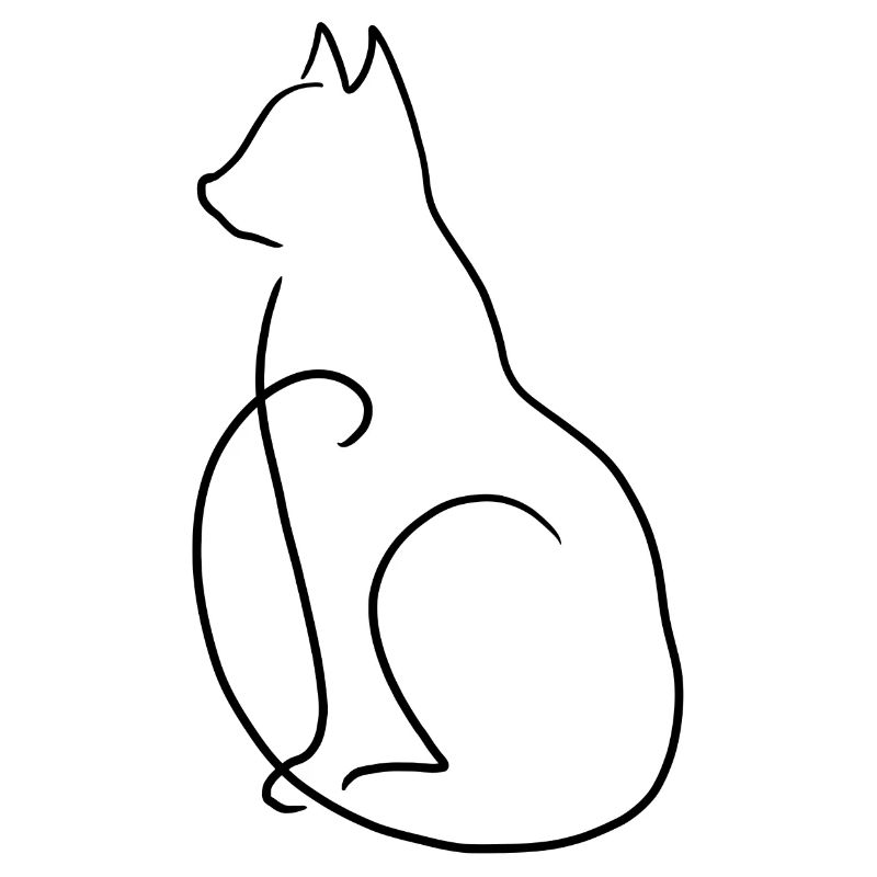 Chat chaton