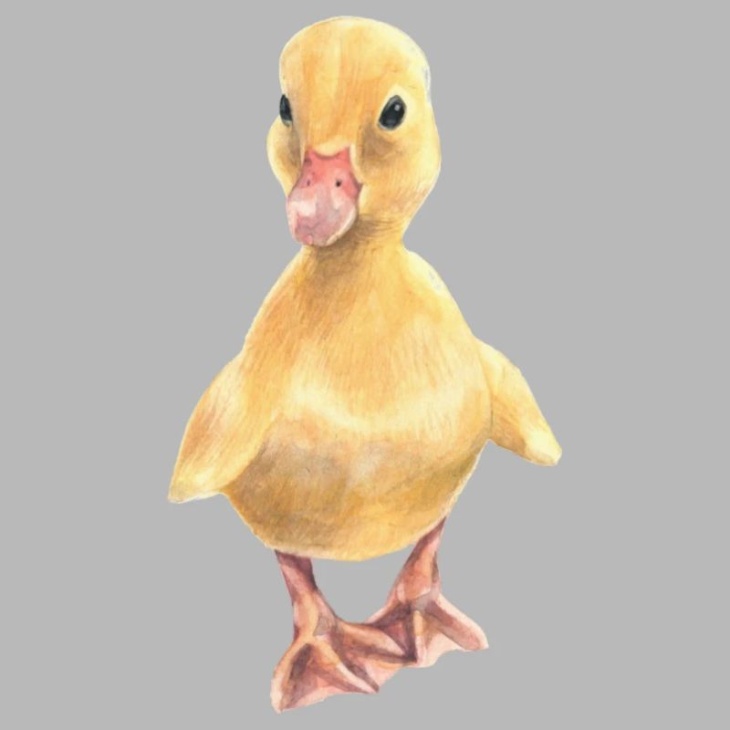 Chick