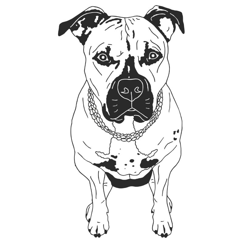 Rhodesian Ridgeback Mix