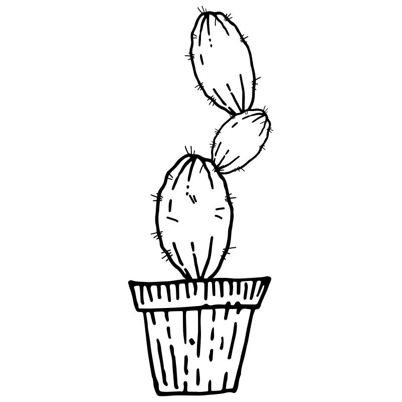 Cactus peint à la main