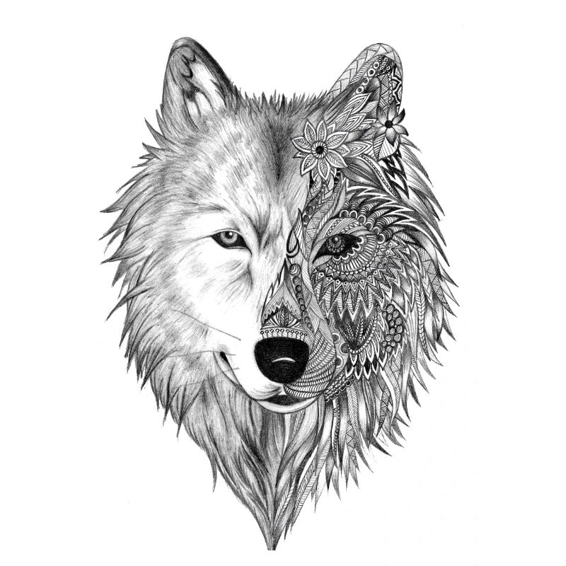 Wolf