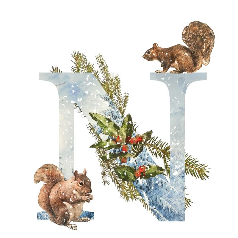 Eichhörnchen Anfangsbuchstabe N