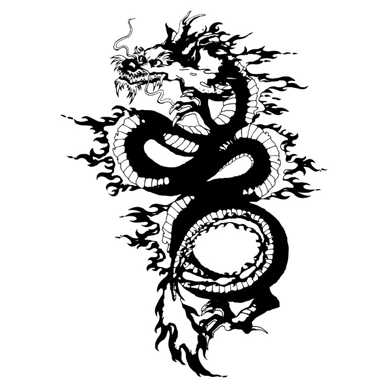 Dragon chinois