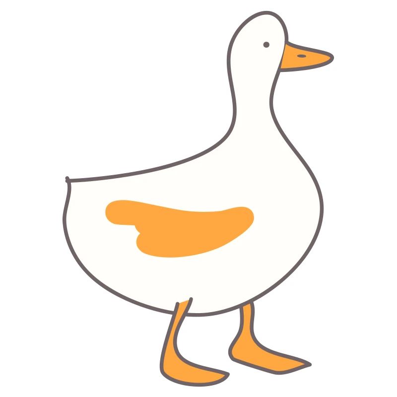 duck 4