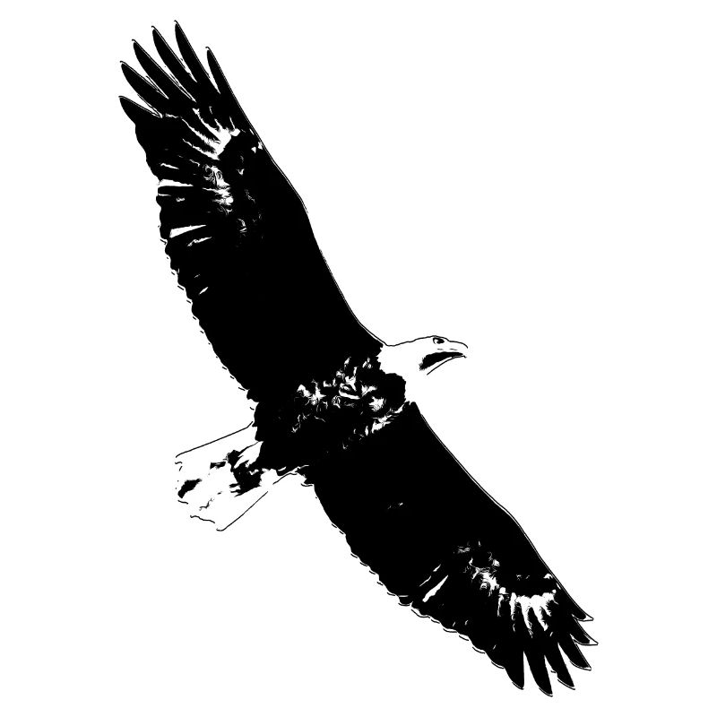 Aigle royal