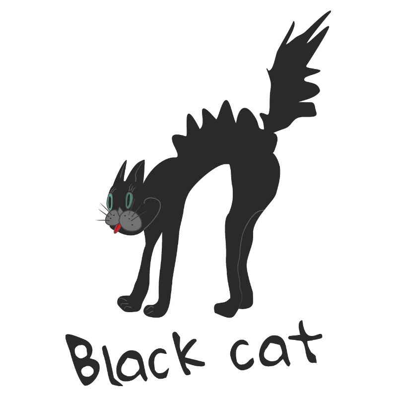 Drôle de chat noir