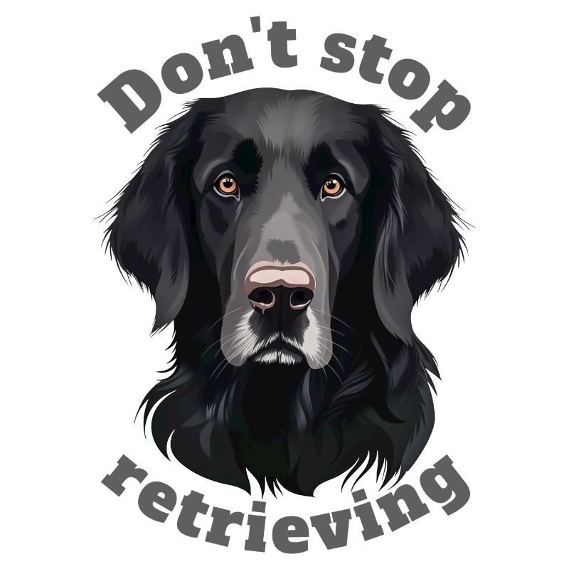 Don't stop retrieving - Labrador