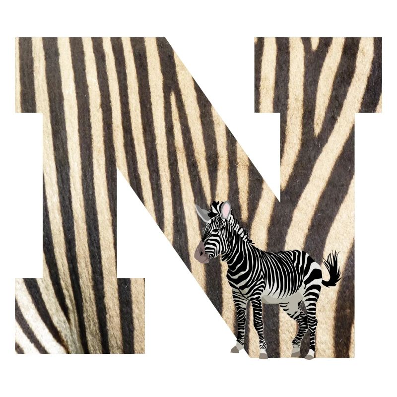 zebra n