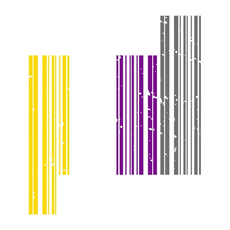 Nonbinary I LGBT Pride I Flag Barcode I Assume